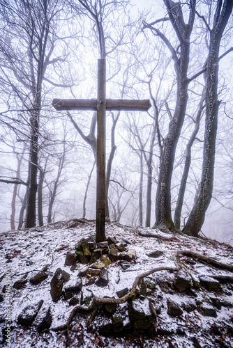 Ruzovsky Vrch at Czech Switzerland NP covered in frost in a foggy winter morning .