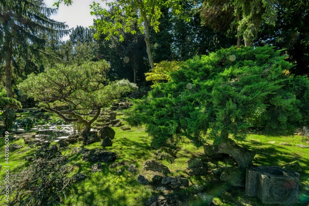 Japanese Garden Schlosspark Schoenbrunn
