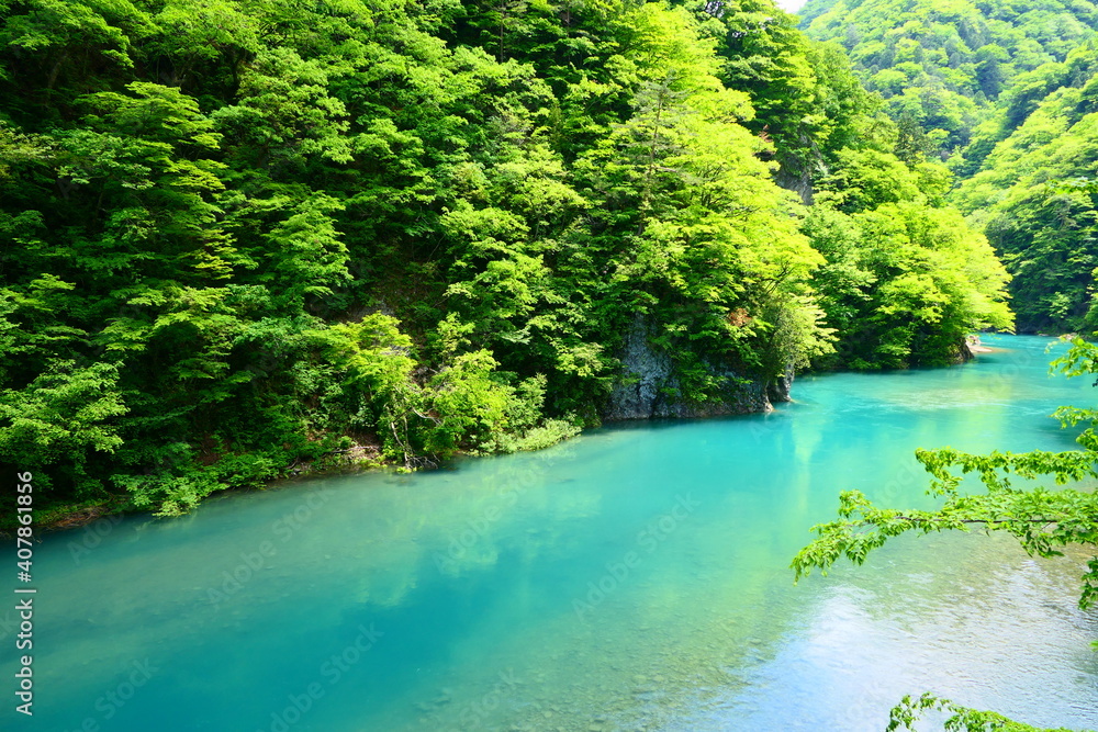 新緑の抱返り渓谷。仙北、秋田、日本。５月下旬。