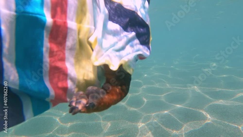 Wallpaper Mural Young dachshund dog wearing colorful t-shirt swims along clear ocean water with flecks of sunlight close view from underwater Torontodigital.ca