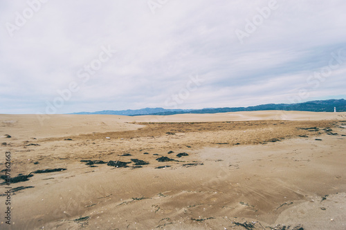 Lonely dunes in the Ebro delta, Tarragona, Spain.