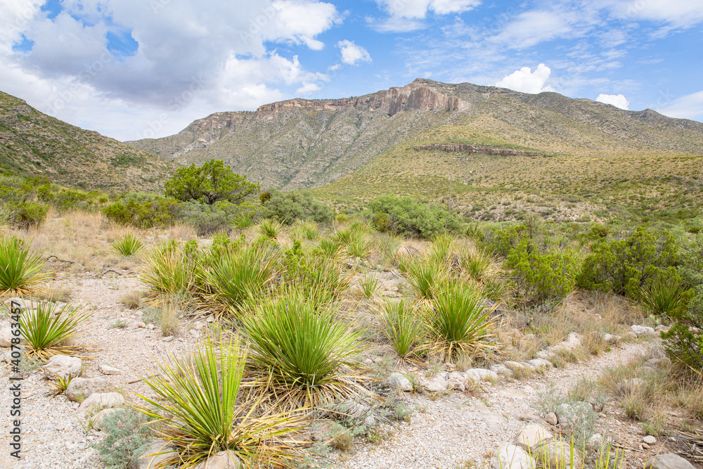 Guadalupe Mountains National Park in Texas, USA Guadalupe Mountains National Park in Texas, USA