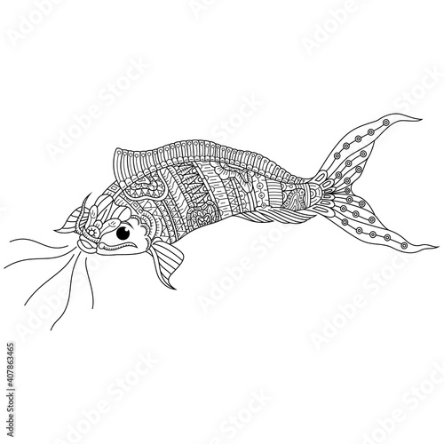 Hand drawn of koi fish in zentangle style