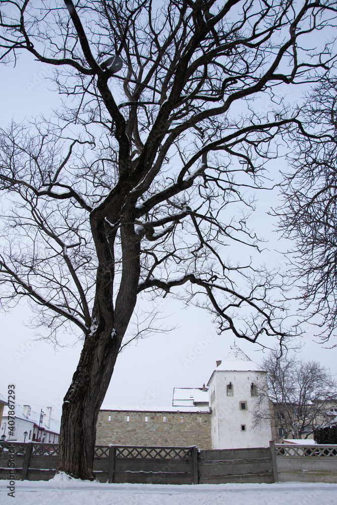 Romania Bistrita 2021 January ,Bistritz,Coopers Tower- Turnul Dogarilor Romania Bistrita 2021 January ,Bistritz,Coopers Tower- Turnul Dogarilor