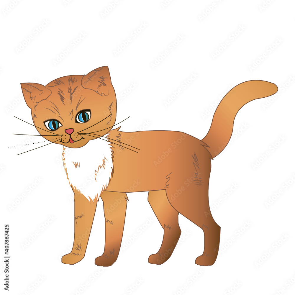 the kitten the kitten