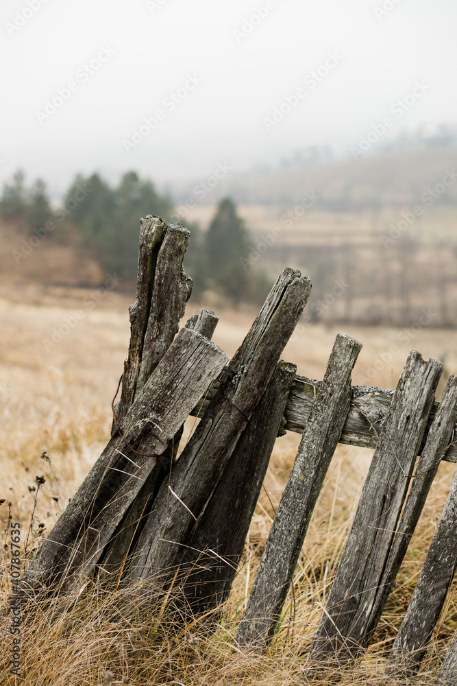 Rustic fence in the countryside on foggy morning Rustic fence in the countryside on foggy morning
