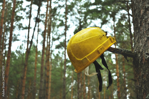 An orange helmet hangs from a branch in the woods, a symbol of the workers ' strike