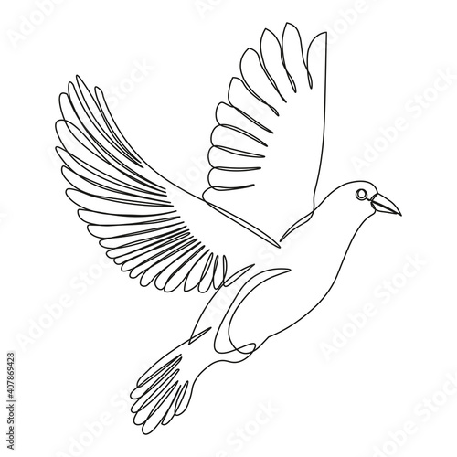 dove drawn with a single line
