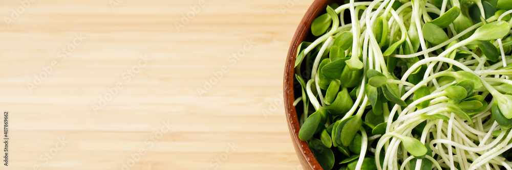 vegetables green fresh young sunflower sprouts on bowl for cooked food healthy are valuable for nutrition. copy space, design on wooden table. seedling organic concept. vegetables green fresh young sunflower sprouts on bowl for cooked food healthy are valuable for nutrition. copy space, design on wooden table. seedling organic concept.
