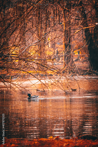 reflections on water