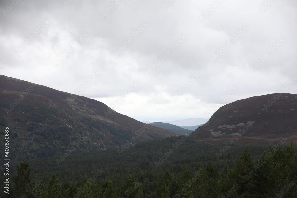 Scotland landscape in the summer