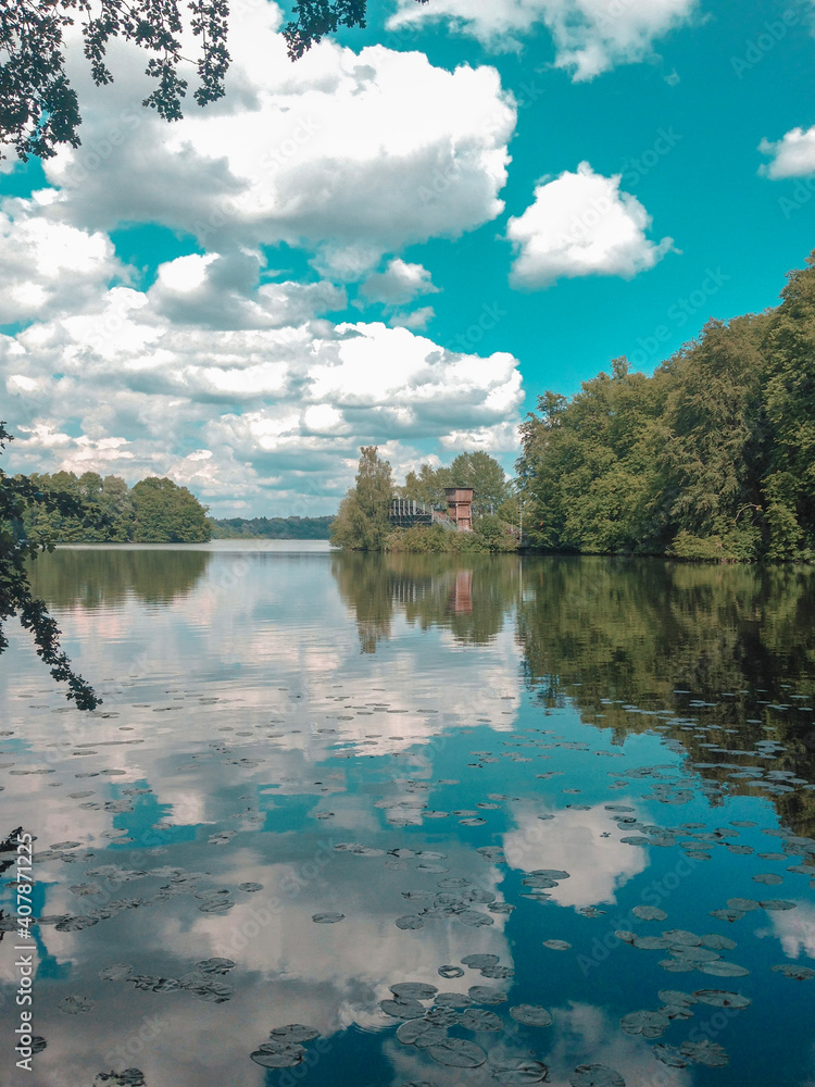 Obraz premium lake and forest