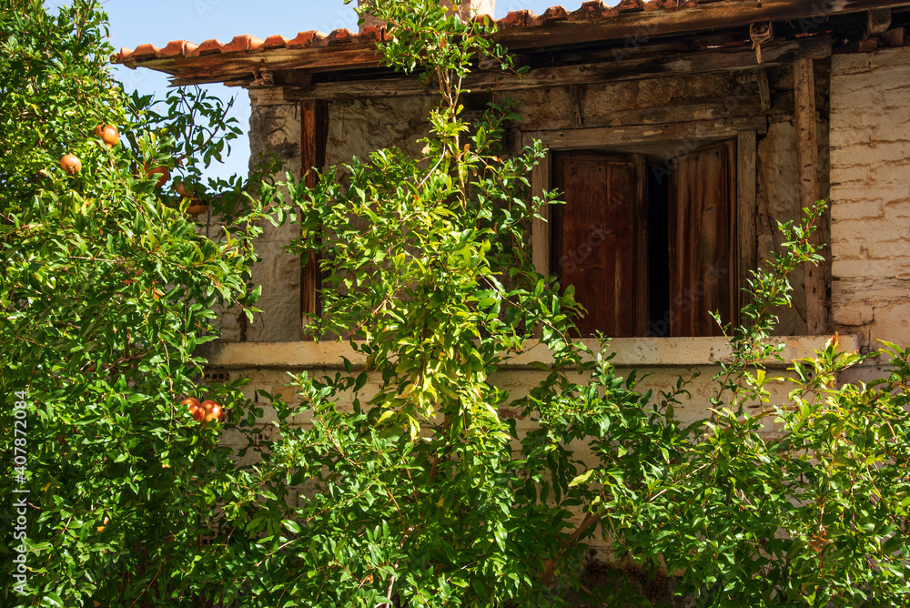 Pomegranate tree and old house