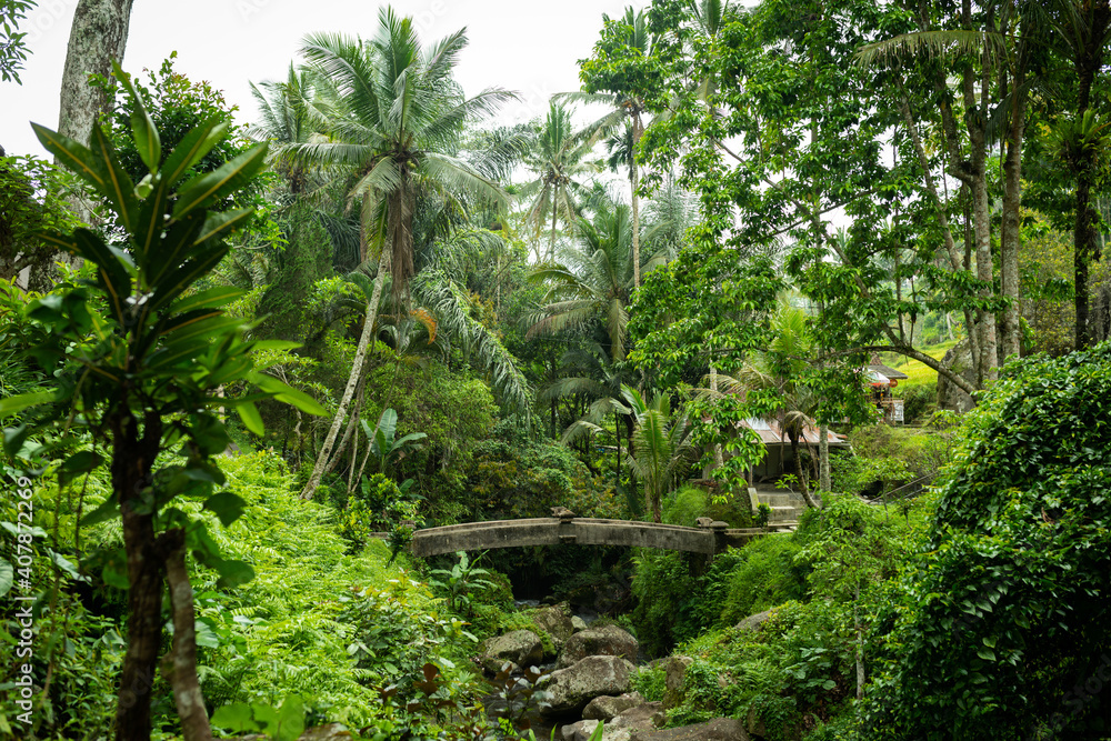 Stone bridge in the jungle, Bali. Indonesia.