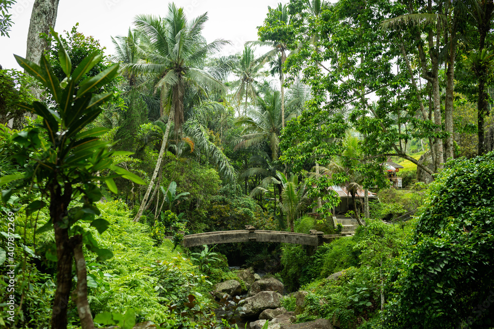 Stone bridge in the jungle, Bali. Indonesia. Stone bridge in the jungle, Bali. Indonesia.