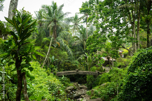 Stone bridge in the jungle  Bali. Indonesia.