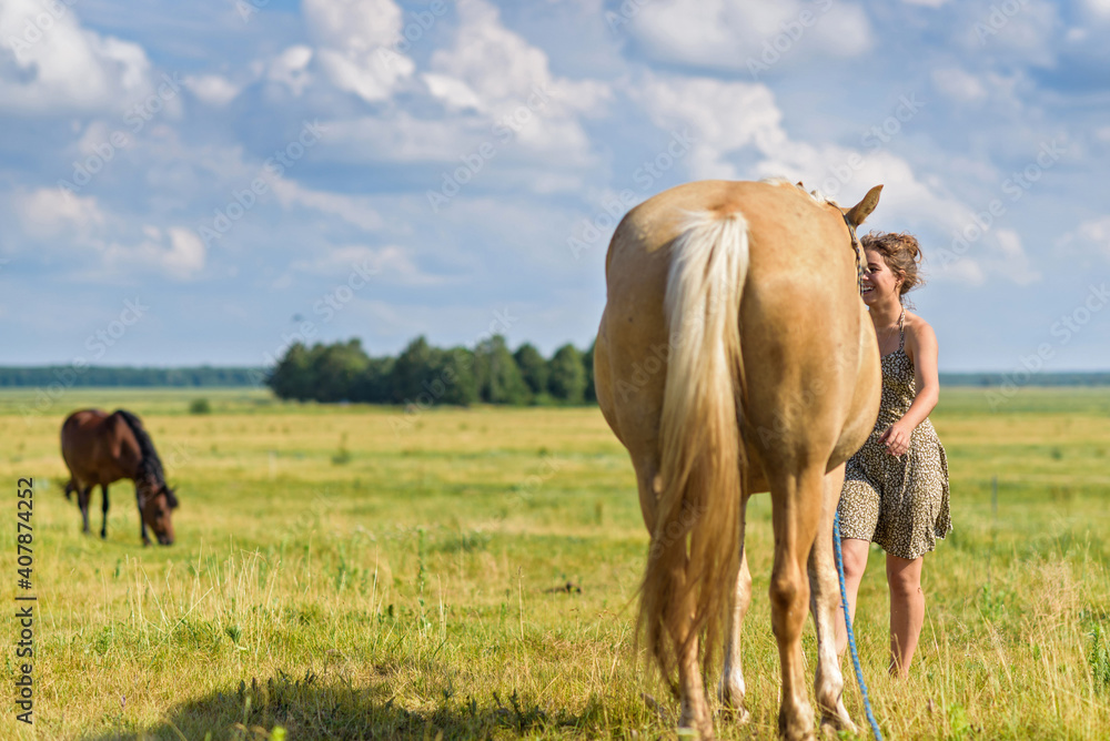 A young beautiful girl puts a halter on a horse on the field. A young beautiful girl puts a halter on a horse on the field.