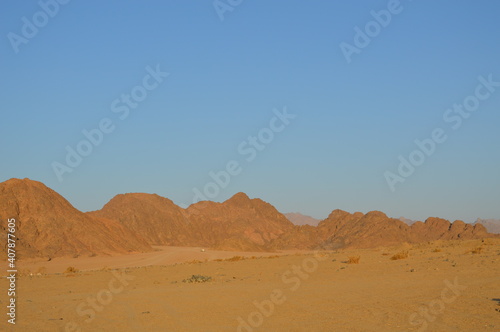 Desert landscape view 