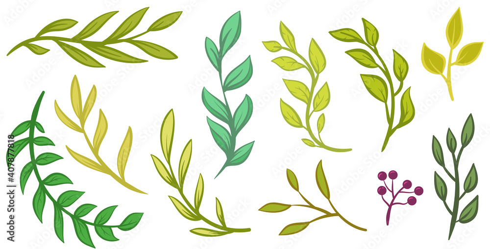 Fototapeta Collection hand drawn branches and leaves isolated on white background. Set of cartoon floral design elements. Vector botanical illustration.