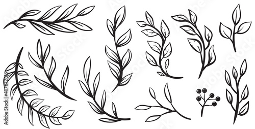 Collection hand drawn branches and leaves isolated on white background. Set of cartoon floral design elements. Vector botanical illustration.