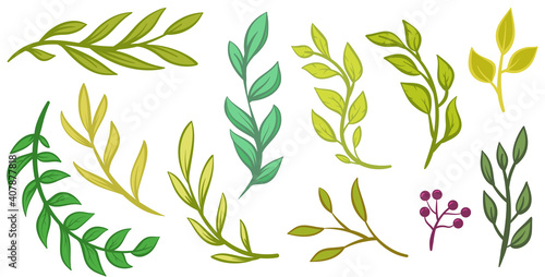 Collection hand drawn branches and leaves isolated on white background. Set of cartoon floral design elements. Vector botanical illustration.