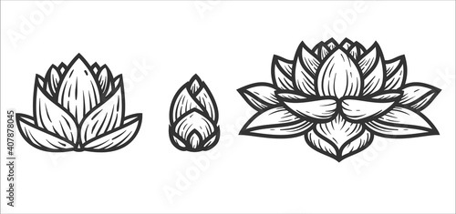 Set of silhouette lotus flower in minimal geometric style isolated on white background. Abstract modern design element. Vector illustration.