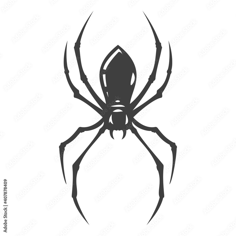 Cartoon hand drawn black spider isolated on white background. Design minimalistic element for logo, icon. Vector illustration. Cartoon hand drawn black spider isolated on white background. Design minimalistic element for logo, icon. Vector illustration.