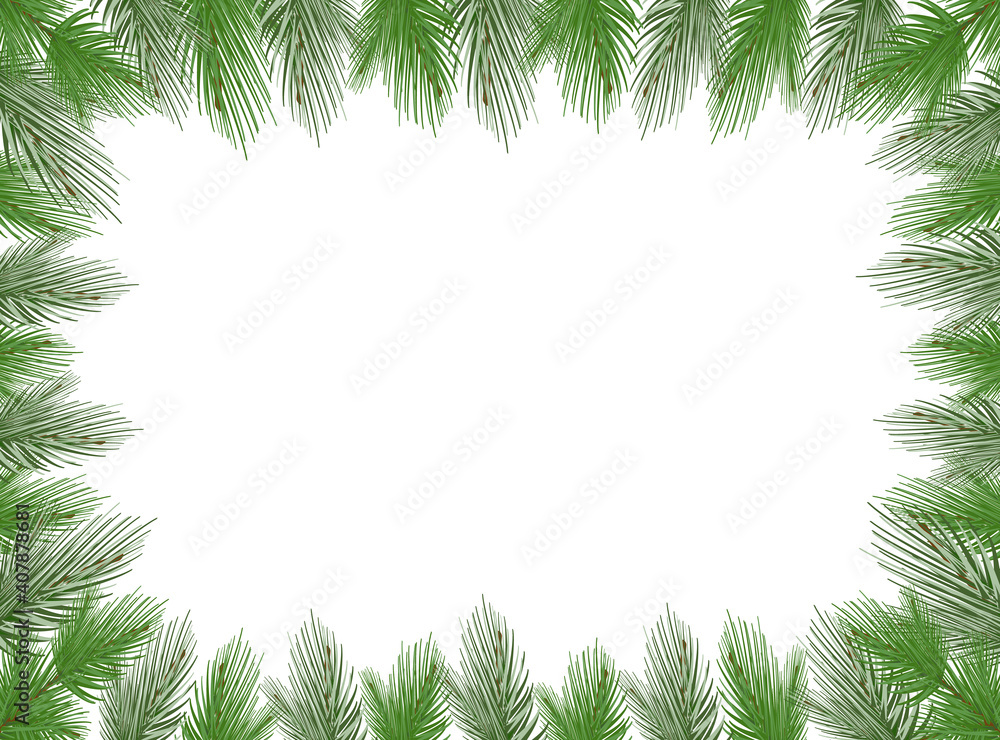 Fototapeta premium Vector frame of fir branches on a white background