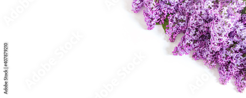 Lilac flowers isolated on white background. Top view, flat lay, copy space. Spring concept. Banner.