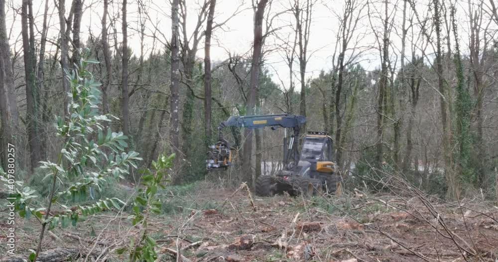 machines for the forest industry in action machines for the forest industry in action