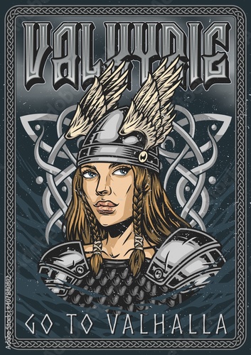 Viking vintage colorful poster