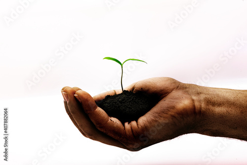 Keimling in frischer Erde auf einer Männerhand isoliert