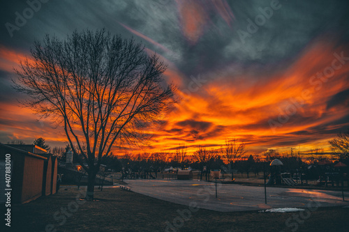 Magnficent shot of a full orange sky during the sunset with a naked tree on a manless street photo