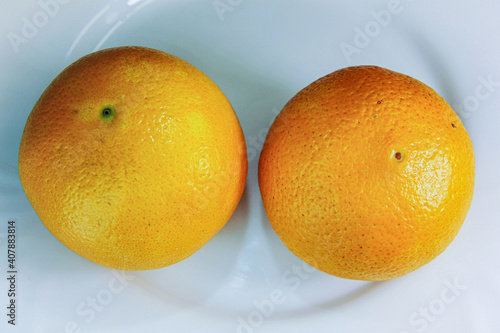 oranges. oranges close up on a white background. citrus. tropical fruits. sweet fragrant delicious oranges