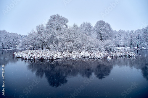 Trees covered with snow on the shore of the lake.