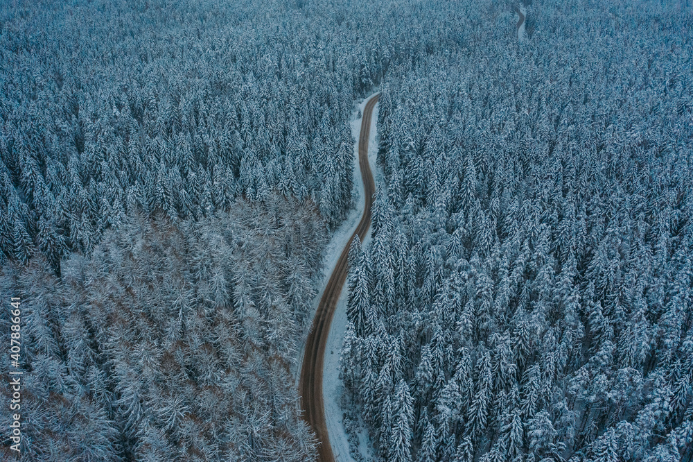 Aerial view of the Winter Forest and the road in the Leningrad region. Siberian larch. Evening. Shooting from a height, drone.