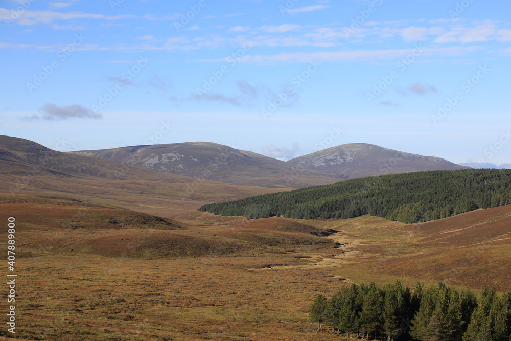 Scotland landscape in the summer