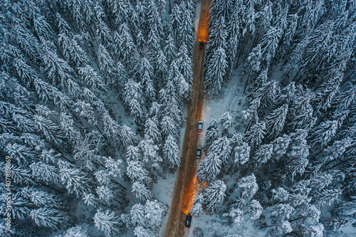 Aerial view of the Winter Forest and the road in the Leningrad region. Siberian larch. Evening. Shooting from a height, drone. photo