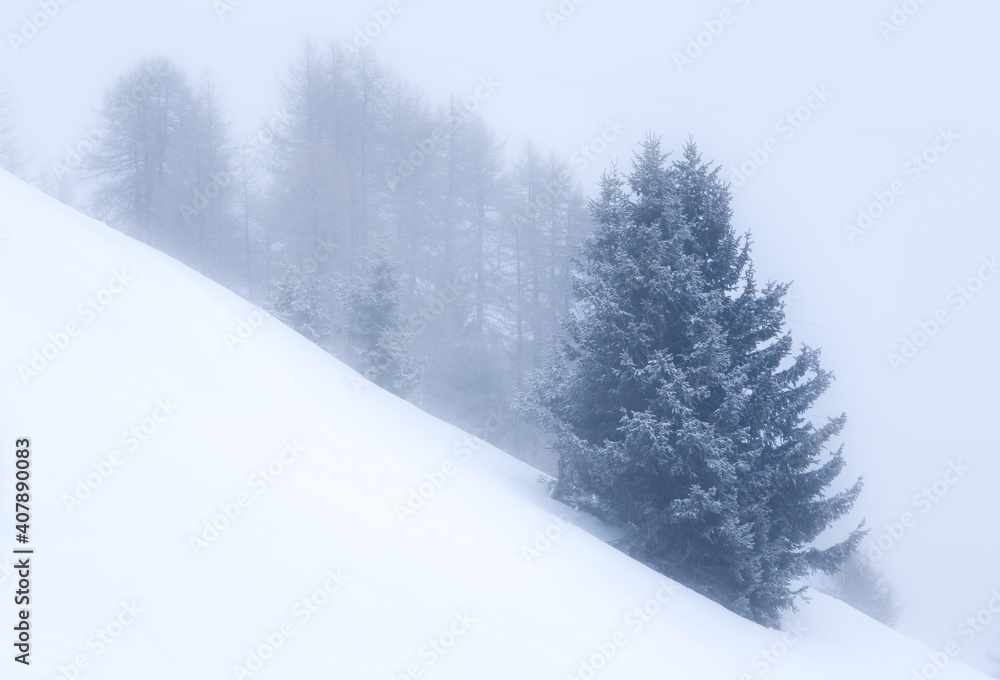 Minimalist landscape with a lone  snowy tree growing on a steep hill. Calm scene in cloudy and foggy weather. Winter vacations background