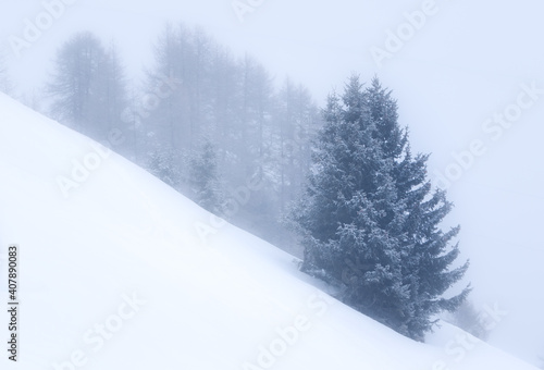 Minimalist landscape with a lone snowy tree growing on a steep hill. Calm scene in cloudy and foggy weather. Winter vacations background