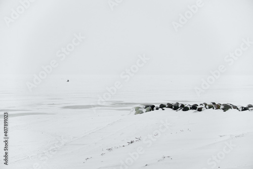 Icy winter at frozen river. Winter romantic, silence and wild nature, icy and snowy landscape, concept for winter lovers..