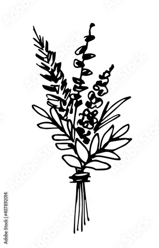 Hand-drawn vector drawing in black outline. Dried flowers bouquet isolated on white background. For greeting card design. Spring holidays, 8 March, mother's day.