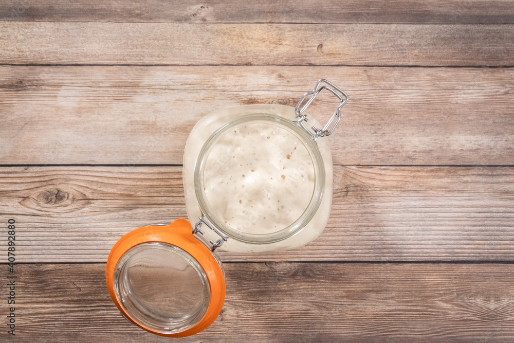 Sourdough starter Sourdough starter