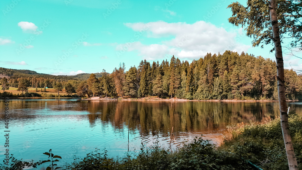 Obraz premium reflection of trees in lake