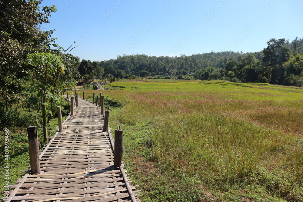 Bamboo Bridge near the Pai in Thailand