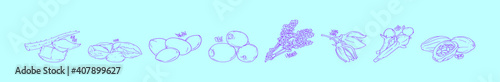 set of hair treatment herb cartoon icon design template with various models. vector illustration isolated on blue background