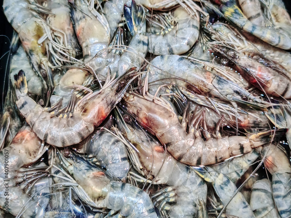 Full Frame Background of Fresh Tiger Prawns for Sale at Market Stall