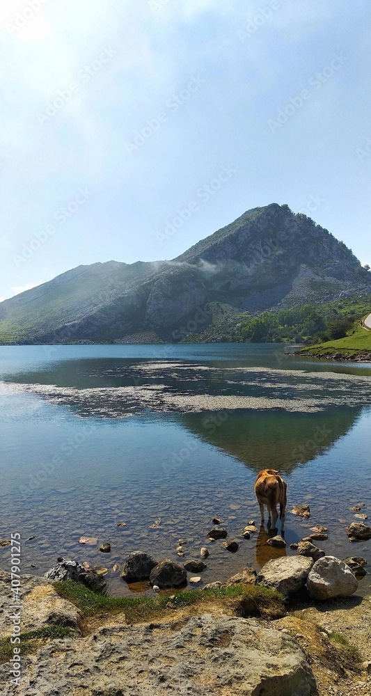 El gran lago Ercina con montaña de fondo en Los Lagos de Covadonga, Asturias.