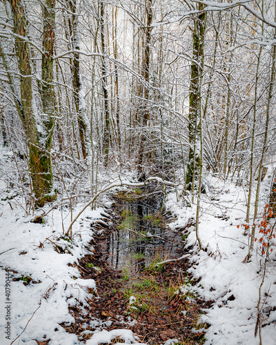 Soderasen National Park View photo