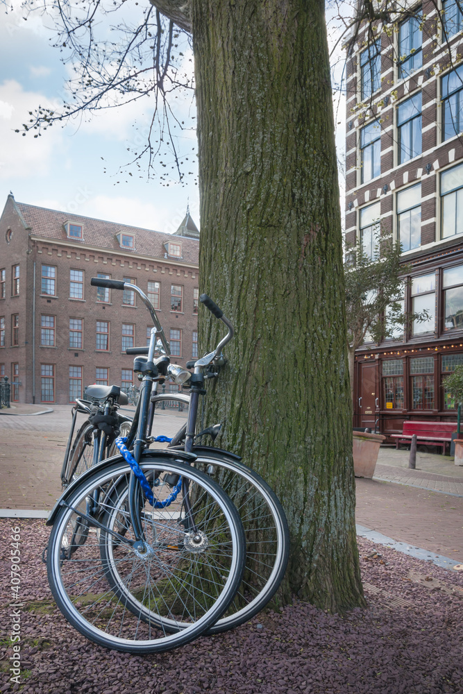 A pair of bicycles under a tree on Prinsengracht street. Amsterdam. Netherlands